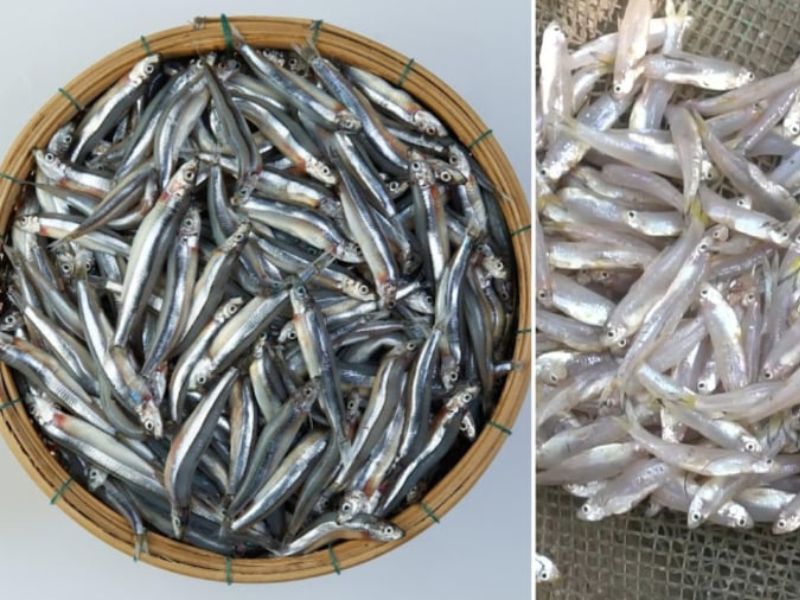 Những thực phẩm bổ sung sắt cho người thiếu máu